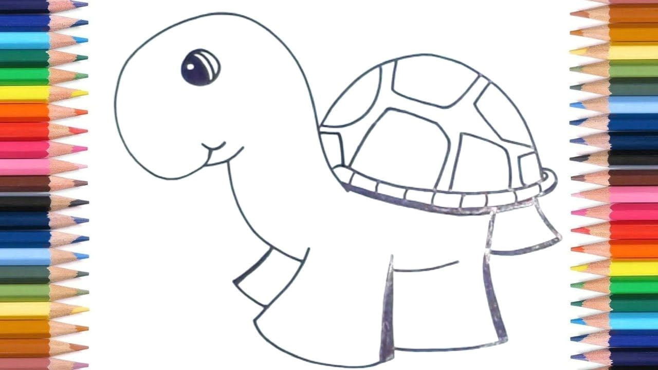 how to draw turtles for kids easy kids easy drawing tutorials kids kidsroom drawing drawinglessons children cuteanimals turtle youtube
