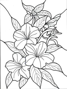 hawaiian flower colouring pages page 2