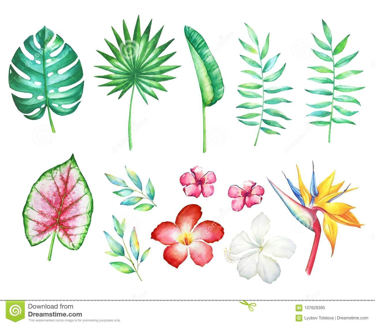 set of watercolor hand drawn tropical flowers and plants isolated on white background