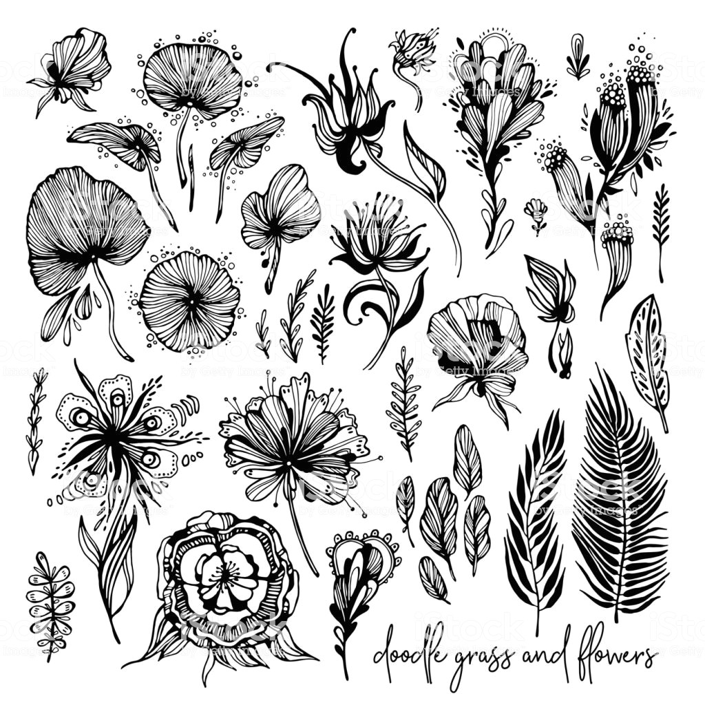 set of black and white exotic flowers illustration