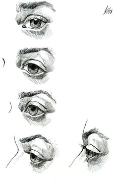 eye study