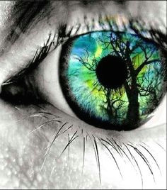 amazing art amazing eyes beautiful eyes pics beautiful paintings eye contacts