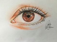 draw an eye in colored pencil