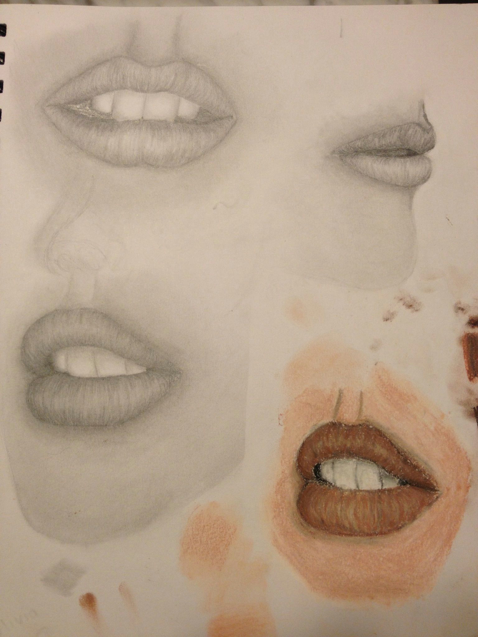 grade 11 pencil and conte mouth sketches