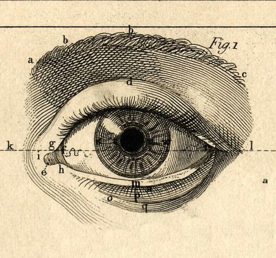 paul bert l annee preparatoire d enseignement scientifique 1887