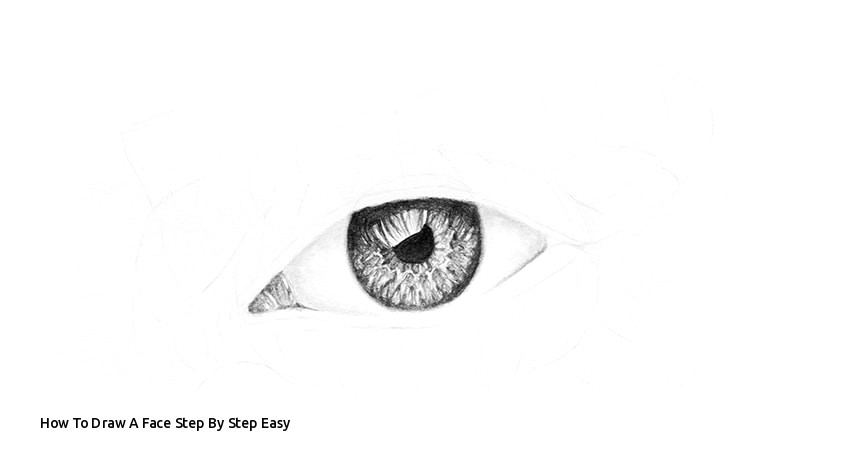 how to draw a face step by step easy how to draw a realistic eye of