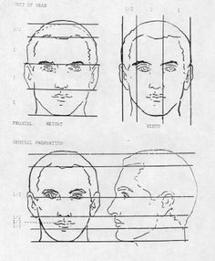 proportions of the face google search