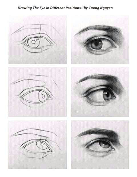 discover ideas about drawing an eye