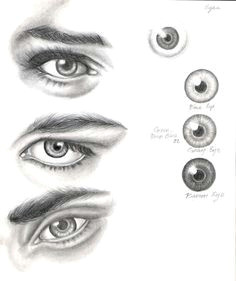 eye study