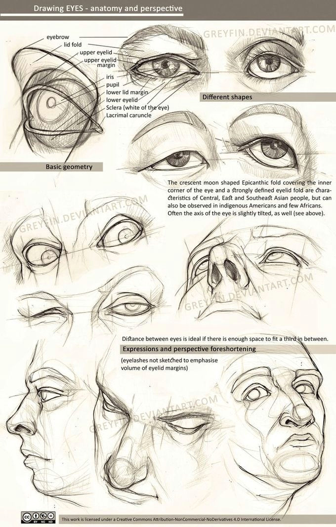 realistic drawing reference dump imgur