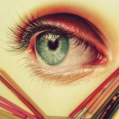 davidson s colored pencil art amazing i wish i could draw in colored pencil coloured pencil