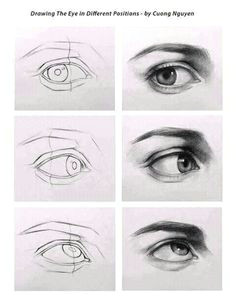 drawing practice eyes left right up