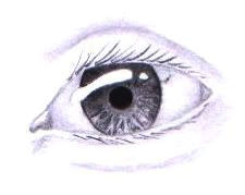 have trouble drawing eyes well you re probably not alone eyes are the first thing that the viewer is drawn to in a portrait