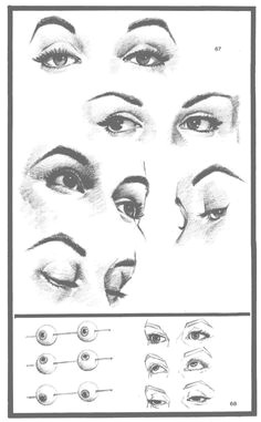 nice reference for eyes and the different ways they are positioned