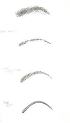 my beautiful life eye brows 101 eyebrow types types of eyebrows drawing eyebrows