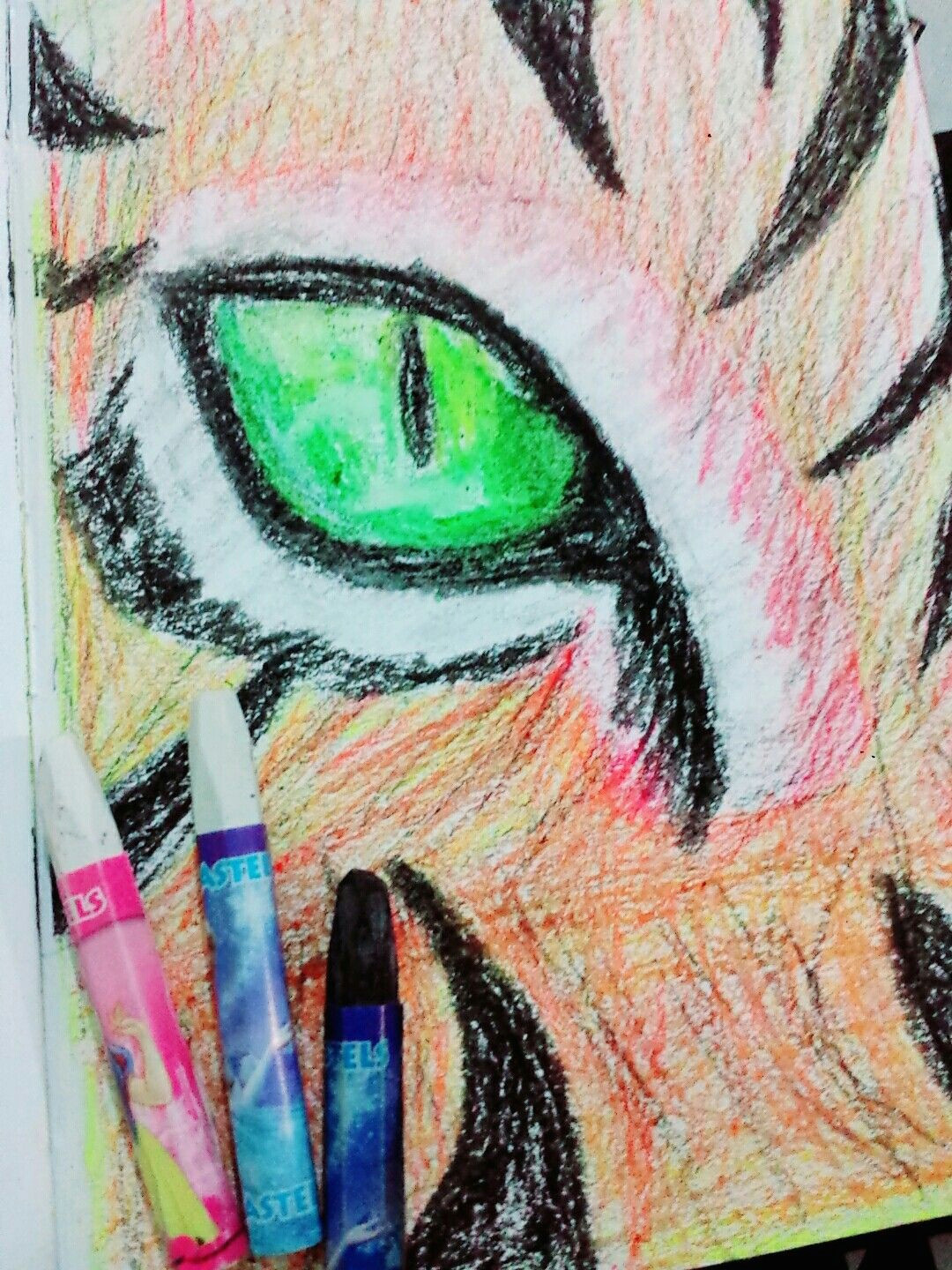 loin eye oil pastel drawing