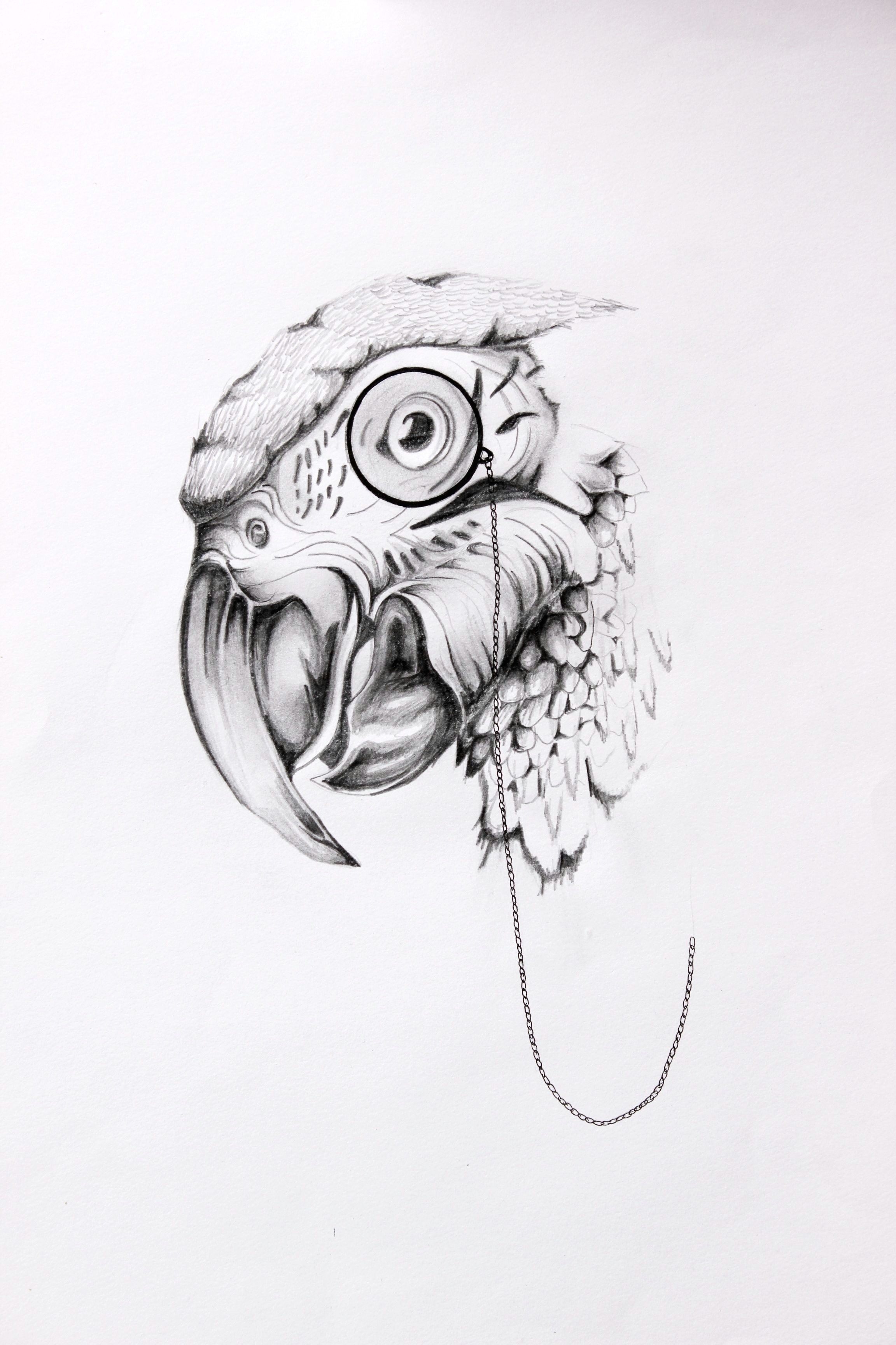 parrot eye www beboris co uk ink illustration artwork