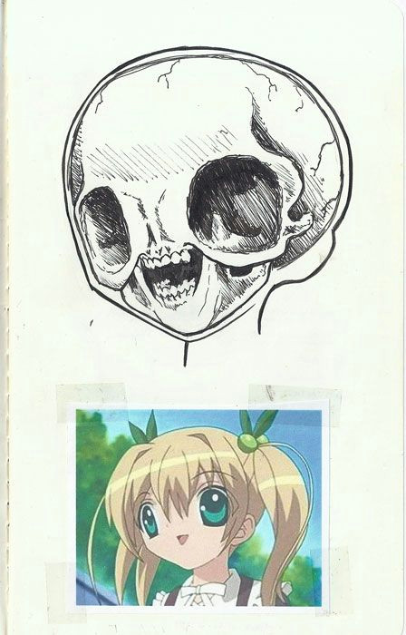 figuring out how the skull of this anime person would look since her mouth is almost in line with where her eyes start imgur