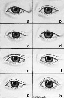 crease and contour eyeshadow asian eyes vs caucasian eyes hooded eyelids hooded eye makeup