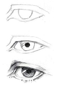 draw the eyes almond shaped and made of several sections eyes are recessed