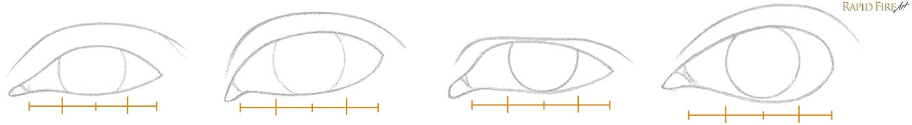 very lightly draw an iris in each eye using an hb pencil the iris should take up about 2 4 s of the eyeball horizontally like the examples below