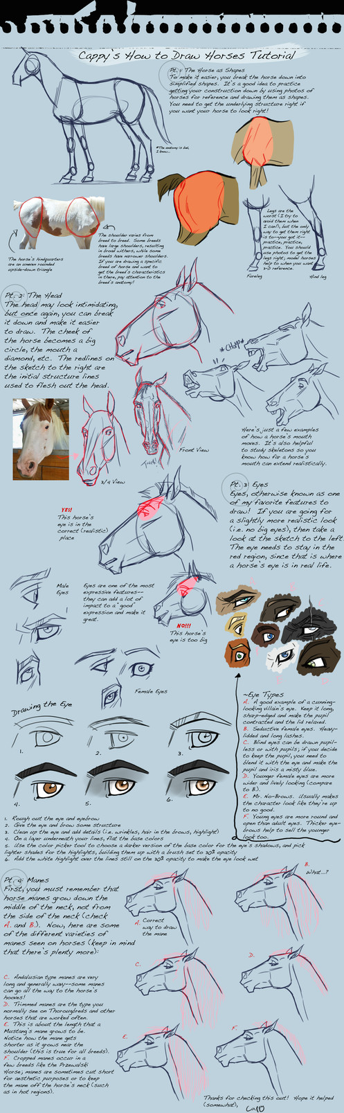 how to draw horses tutorial by ladypep