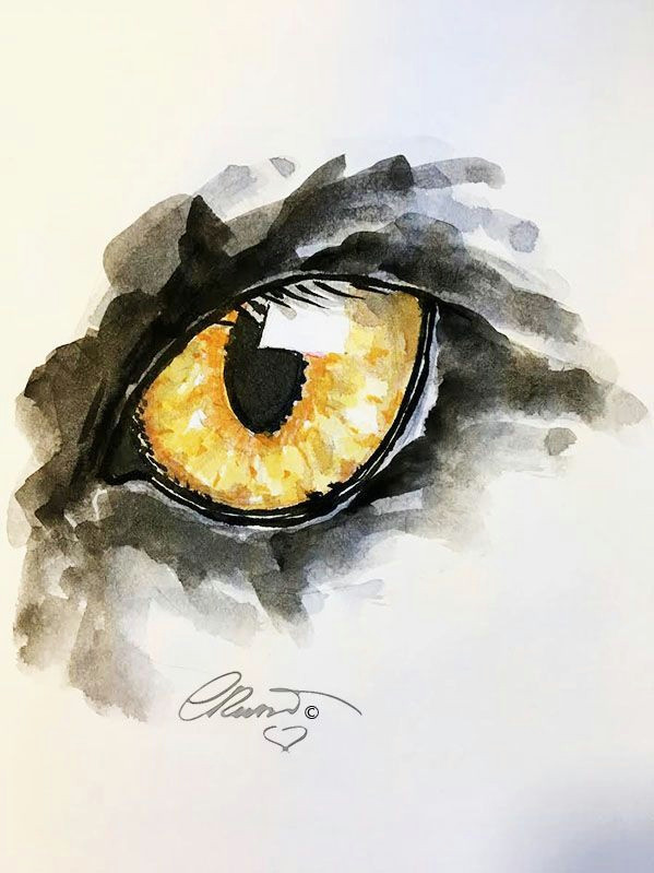 art inspiring magic watercolorarts eye art pretty art watercolor paintings painting