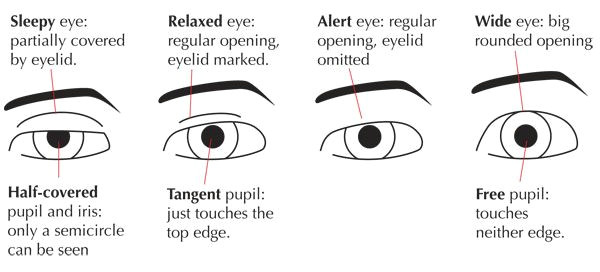 Drawing Eyes with Expression Human Anatomy Fundamentals Mastering Facial Expressions Tuts