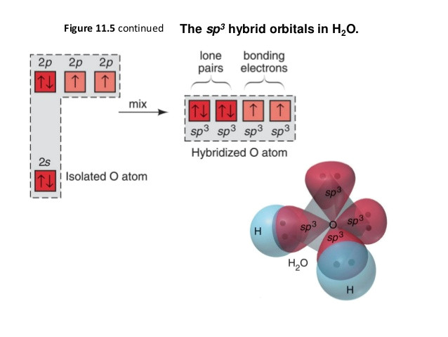 chemical bonding of h2o