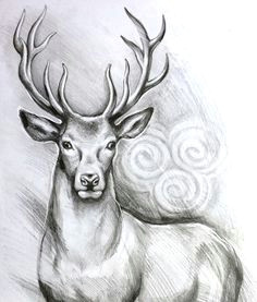 original deer art stag pencil drawing graphite home decor etsy