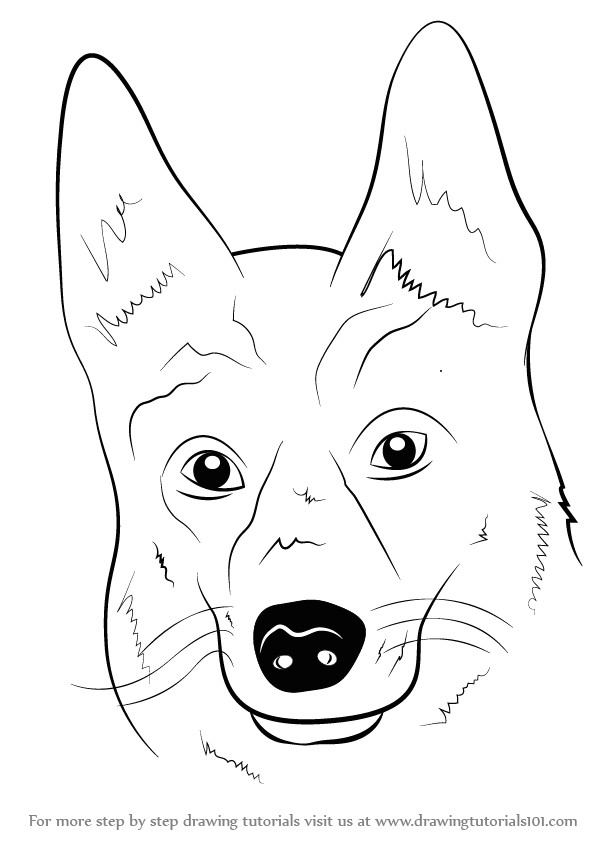 Drawing Fake Dogs Learn How to Draw German Shepherd Dog Face Farm Animals Step by