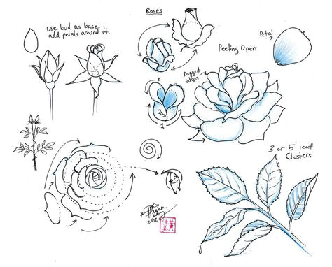 100 best how to draw tutorials flowers images drawing techniques learn drawing drawing flowers