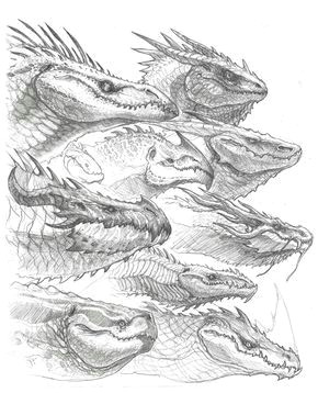 dragon head sketches john tedrick on artstation at https www artstation