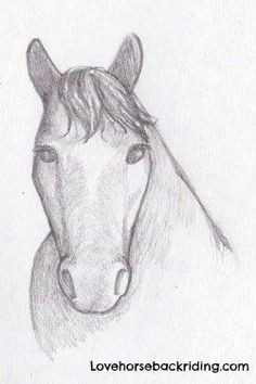 how to create a horse head drawing using pencil step by step easy