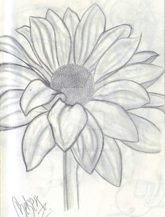 flower sketch