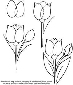 spring art idea how to draw a tulip would be good for 1st or