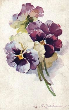 watercolor flowers by piera watercolor postcard watercolor flowers watercolor paintings painting