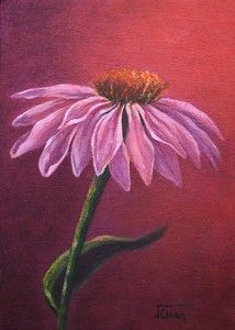 step by step acrylic painting demonstration done by me jeanne cowan of an echinacea flower