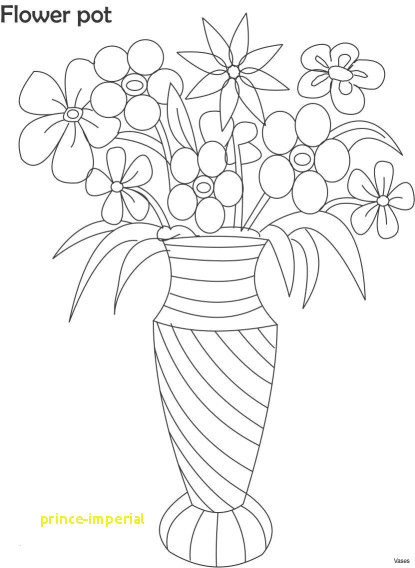 Drawing Flowers and Fruits 28 Terrific Flower to Draw Collection