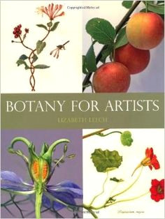botany for artists lizabeth leech 9781847972781 amazon com books botanical drawings