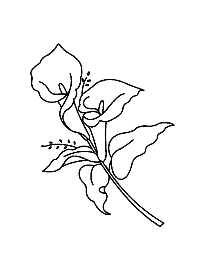 flower 3 coloring page flower coloring pages garden buildings fruit garden embroidery ideas