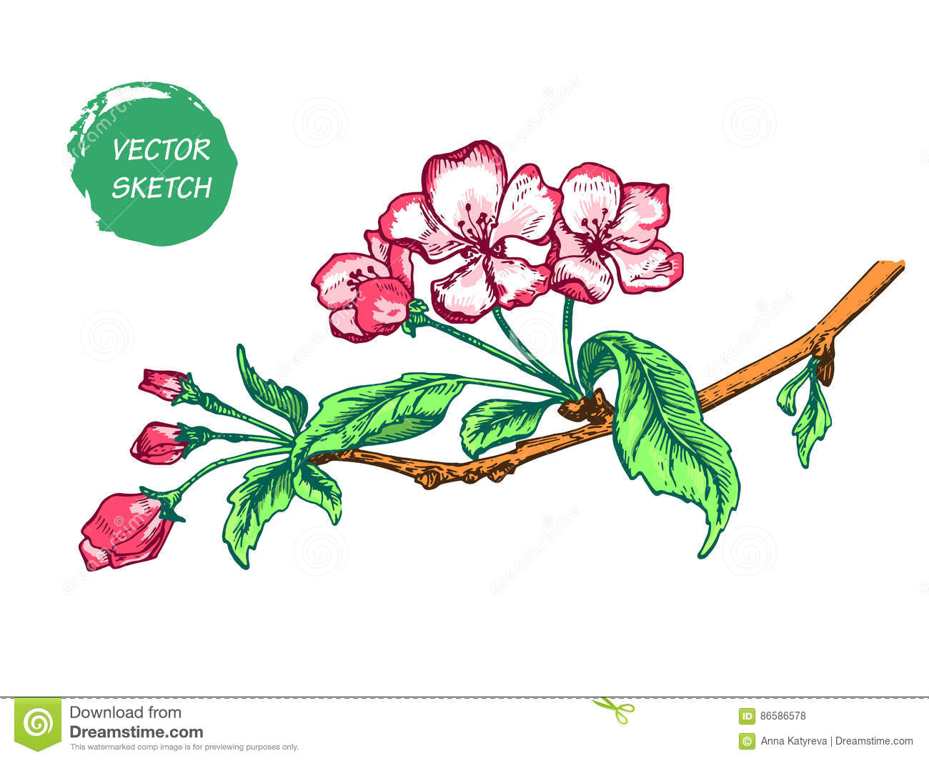 vector illustration of apple tree sketch for design website background banner hand drawn flower elements vintage spring template