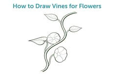 how to draw vines for flowers vine drawing vine design homemade greeting cards