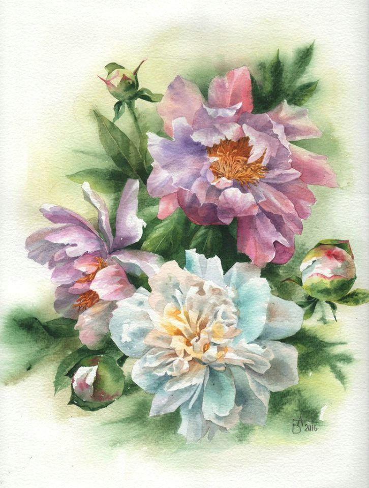 d d d n n d n d n d dµn dµd d d d abc drawing color art painting watercolor in 2018 pinterest watercolor watercolor flowers and flowers