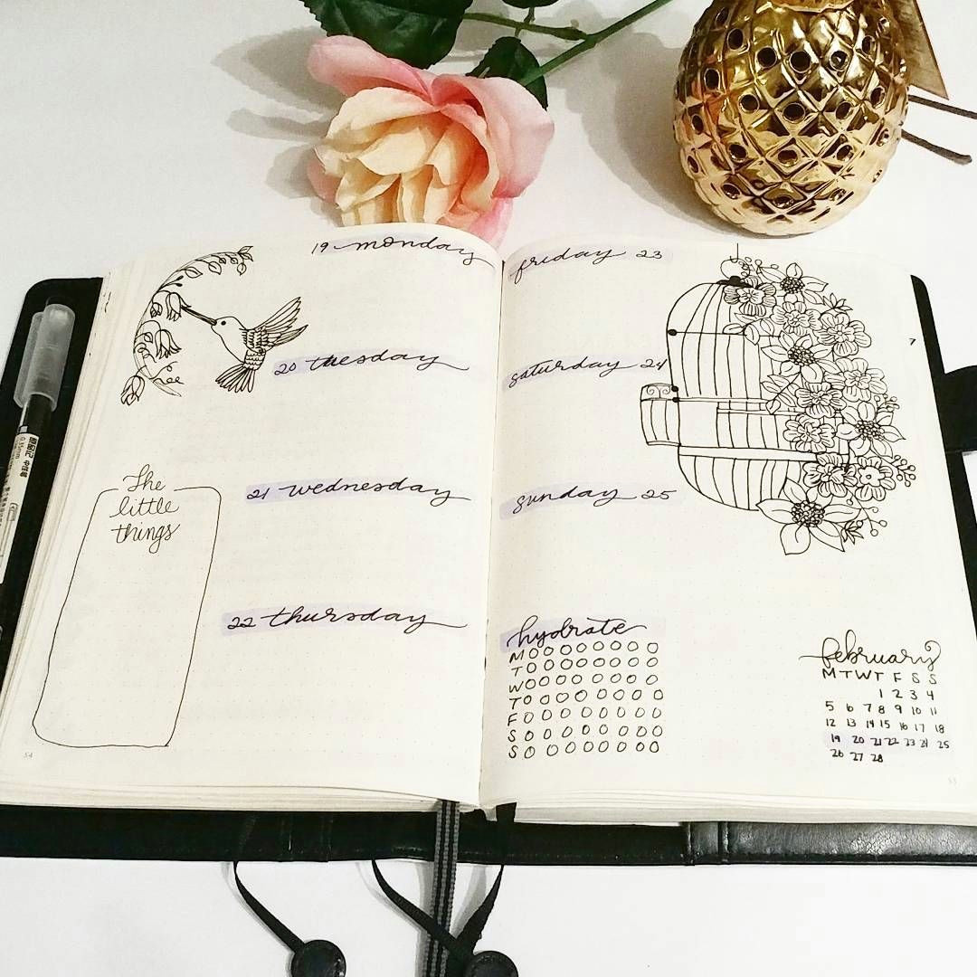 bullet journal weekly layout flower drawing bird drawing birdcage drawing msstephspapercrafts
