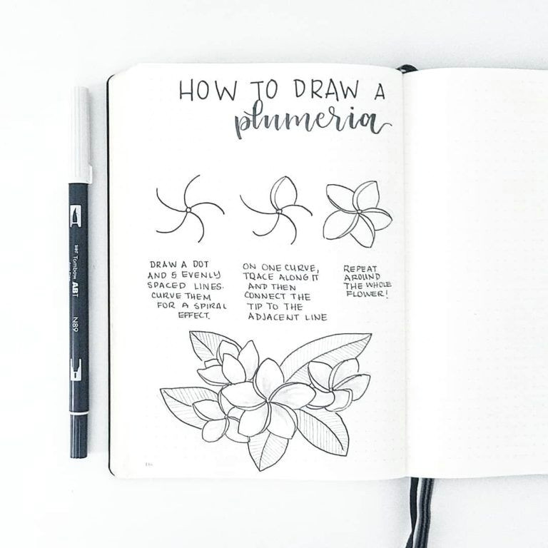 flower doodles are beautiful and add creative flaire to literally any bullet journal thankfully my