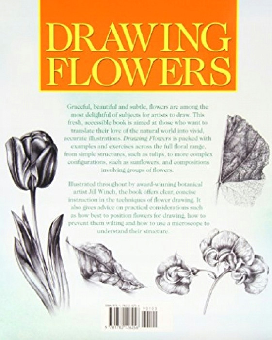jill winch drawing flowers kliknij po wia cej informacji