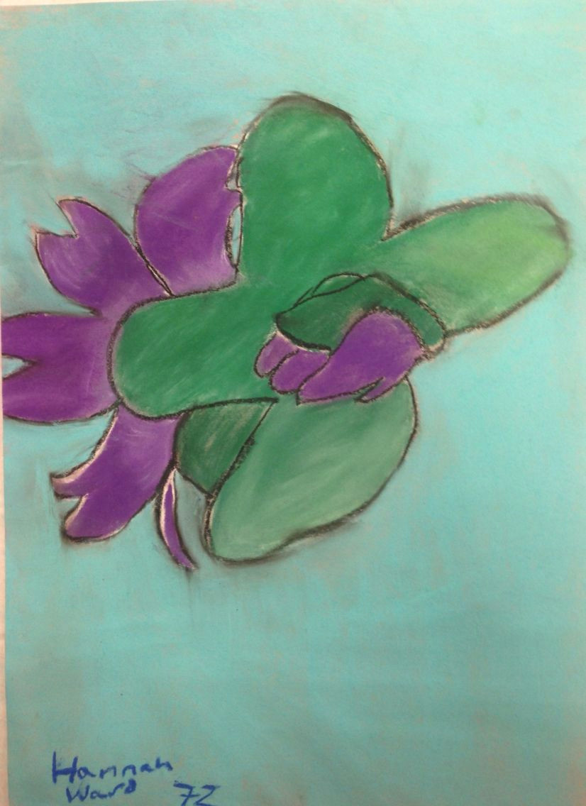 hannah chalk drawing of a flower from direct observation for the y7 natural forms project st mary s catholic high school