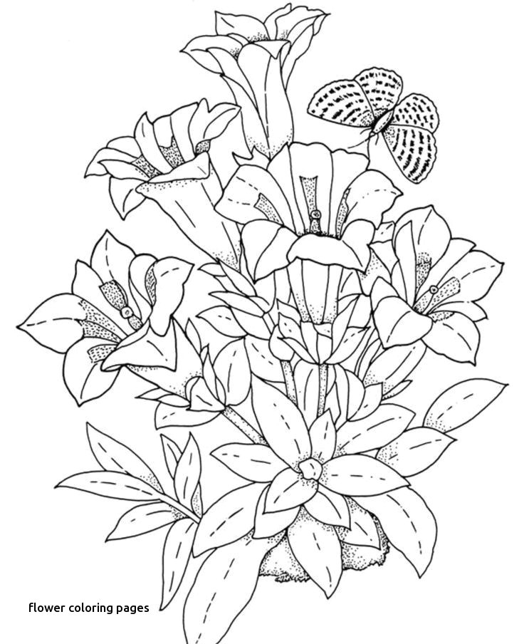 simple flower coloring pages lovely best coloring page adult od kids drawings of flowers step by