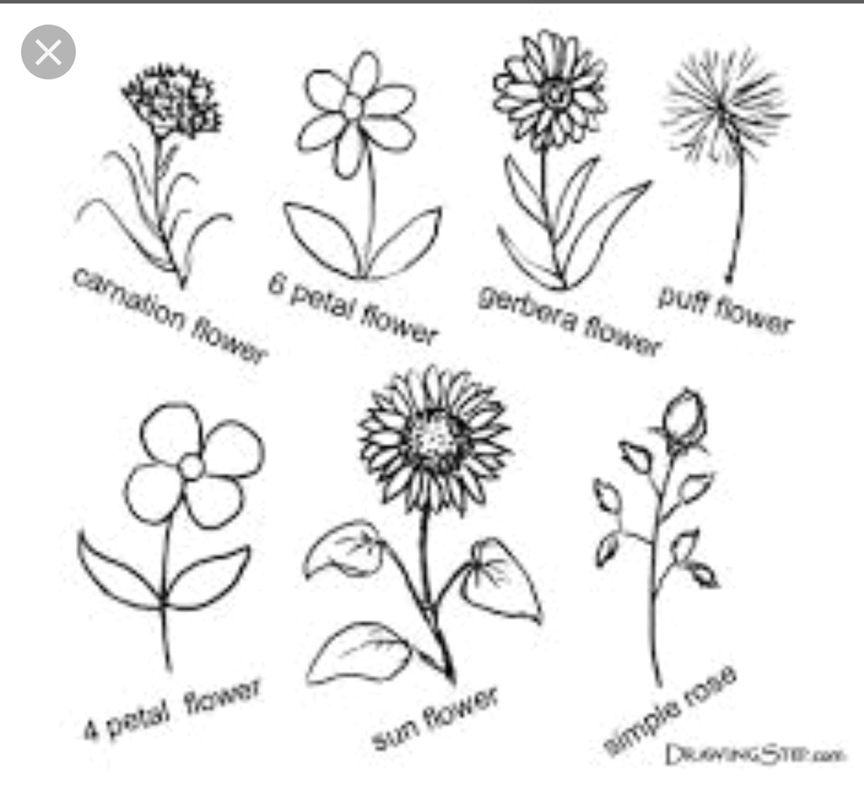 easy flower drawings simple flower drawing simple flowers pencil drawings of flowers